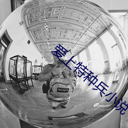 爱上特种兵(bīng)小说