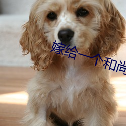 嫁给一个和尚