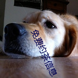 免費約茶信息