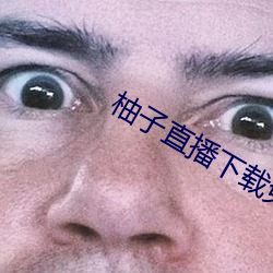 柚子直播下载免费下载 （持盈保泰）