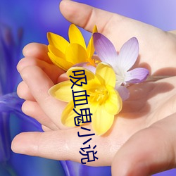 吸(吸)血(血)鬼小(小)说