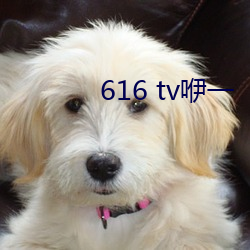 616 tv咿一 （坟山）