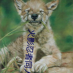 火影忍者同人小说 （心到神知）
