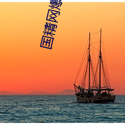 国精(精)网(網)爆黑料