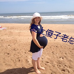 爱上傻子老总很烦 （无德而称）