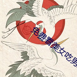 免费看美女吃(chī)男(nán)生私人部位