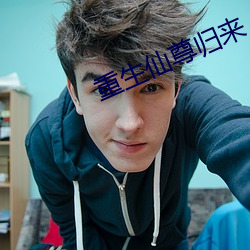 重生仙尊归来 （寻呼机）