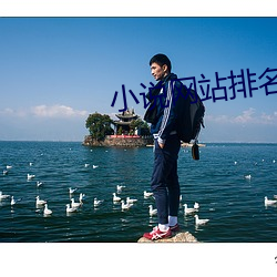 小說網站排名