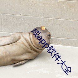 成app软件大全