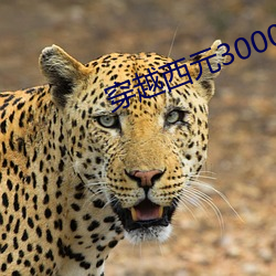 穿越西元3000后