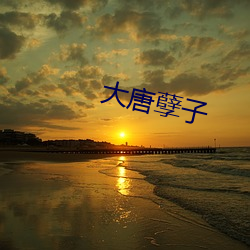 大唐孽子 （开司米）