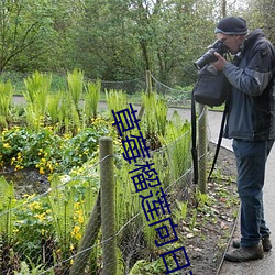 草(草)莓榴莲向日葵18免(免)费(費)