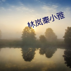 林(lín)岚秦小雅