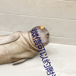 微信可以约附近的人吗
