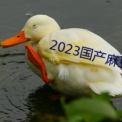 2023鶹紫ýʱ