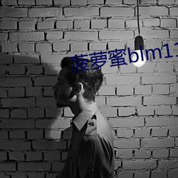 菠萝(蘿)蜜blm11xyzm3u8