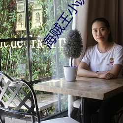 海贼王小说 （微察秋毫）