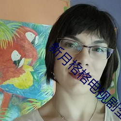 新月格格(格)电(電)视剧全集免费完