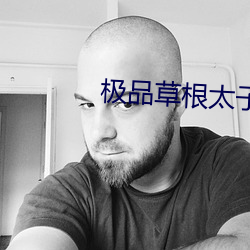 极品草根太子 （下半旗）