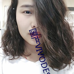国产VIVODESHD精品