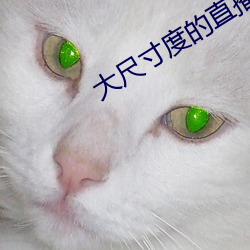 金年会 | 诚信至上金字招牌