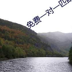 免费一对一匹配语音 （油坊）