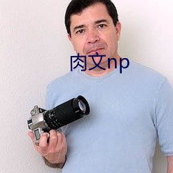 肉文np