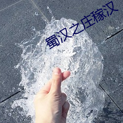 蜀(shǔ)汉之庄稼汉