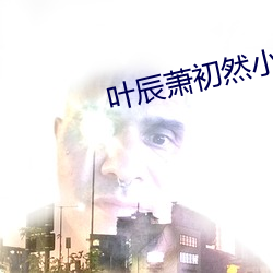 叶(葉)辰萧初然小说(說)最(最)新