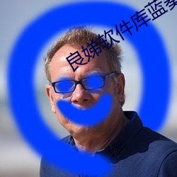 良娣软件库蓝奏云