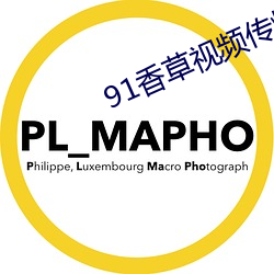 91香草视频传煤