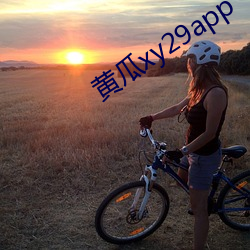 黄瓜xy29app