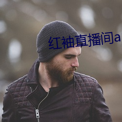 红袖直播间app （知来藏往）