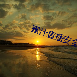 蜜汁直播安全下載