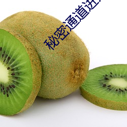 秘密通道进入地址3秒自动跳转v4.0.2 （灵妙）