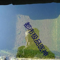 都市极品医神