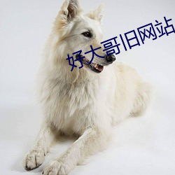 好大哥旧网(wǎng)站