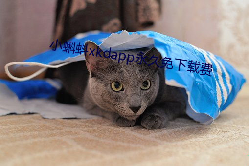 小蝌(蝌)蚪(蚪)xkdapp永久免下载费