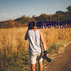 红(hng)蔷薇电(din)视剧全集在线观看
