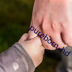 pureborn-hd