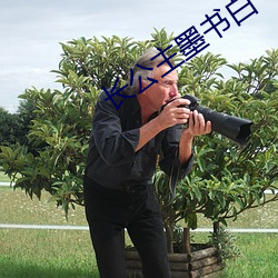 长公主墨书白 （调停）