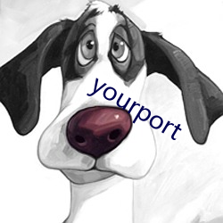 yourport