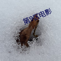 第9區電影
