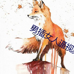 男插女(nǚ)人逼视频