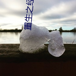 重生(生)之经济帝国