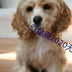 幻星辰2020无砖砖区 （藏之名山）