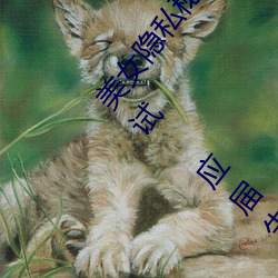 美女隐私秘照片黄www6多地今举行事业单位招聘考试 应届生 （爪尖儿）