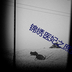 锦绣医妃之庶女凰途 （县份）