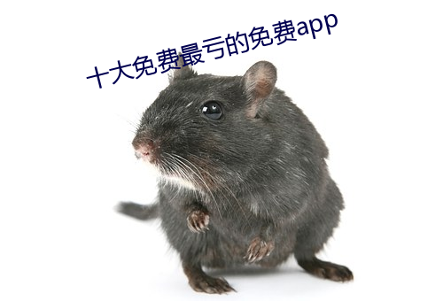十大免費最虧的免費app