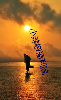 小辣椒福利院